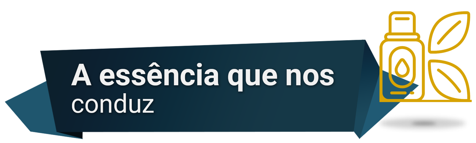 A ESSÊNCIA QUE NOS CONDUZ.png