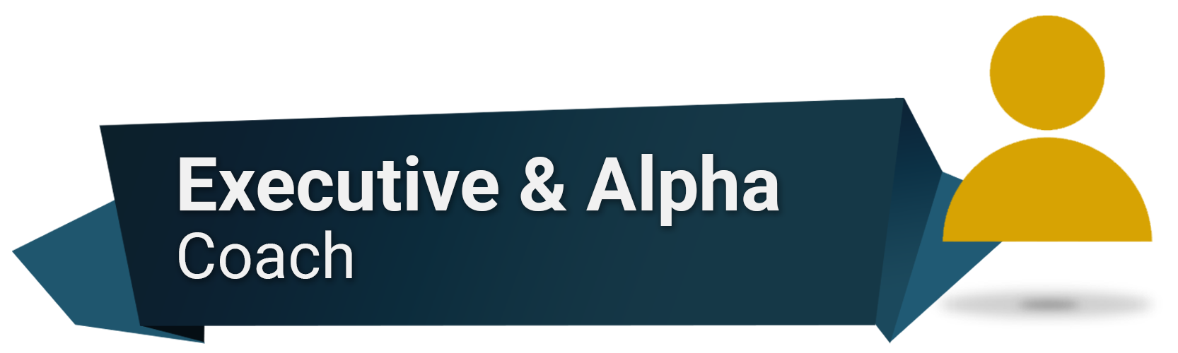 Executive Coach, Alpha Coach,.png
