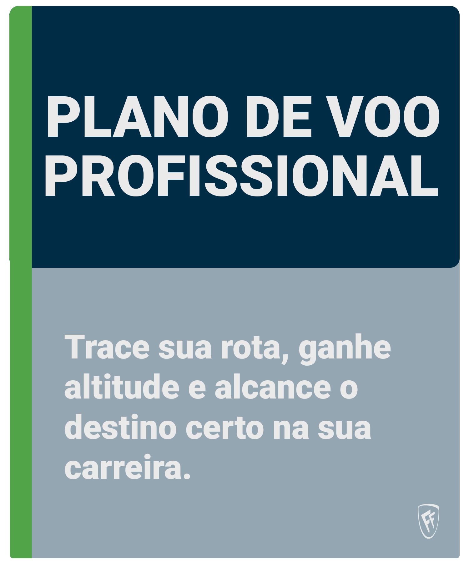 Plano de Voo Profissional.png