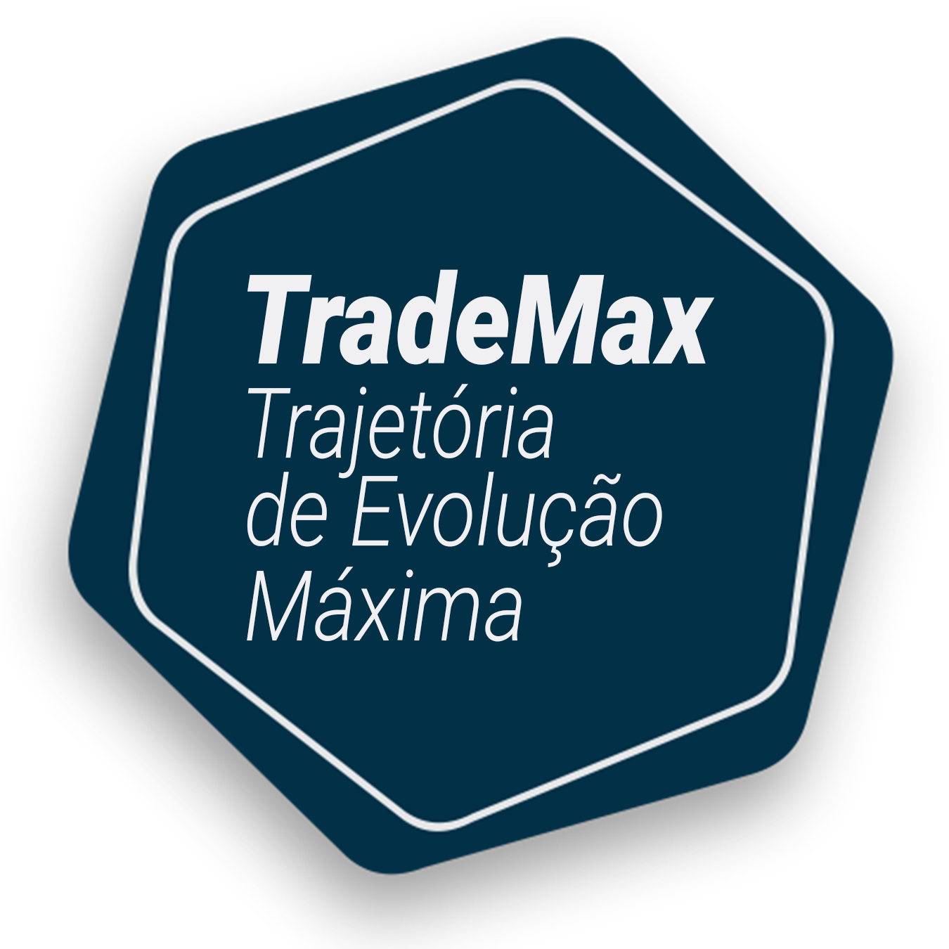 SELO_TRADEMAX.png
